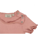 Kortærmet Blonde Rib T-Shirt - rosie