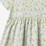 Wheat Main Kortærmet Jersey Kjole Anna Dress 9663 summer blue citrus
