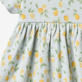 Wheat Main Kortærmet Jersey Kjole Nova Dress 9663 summer blue citrus