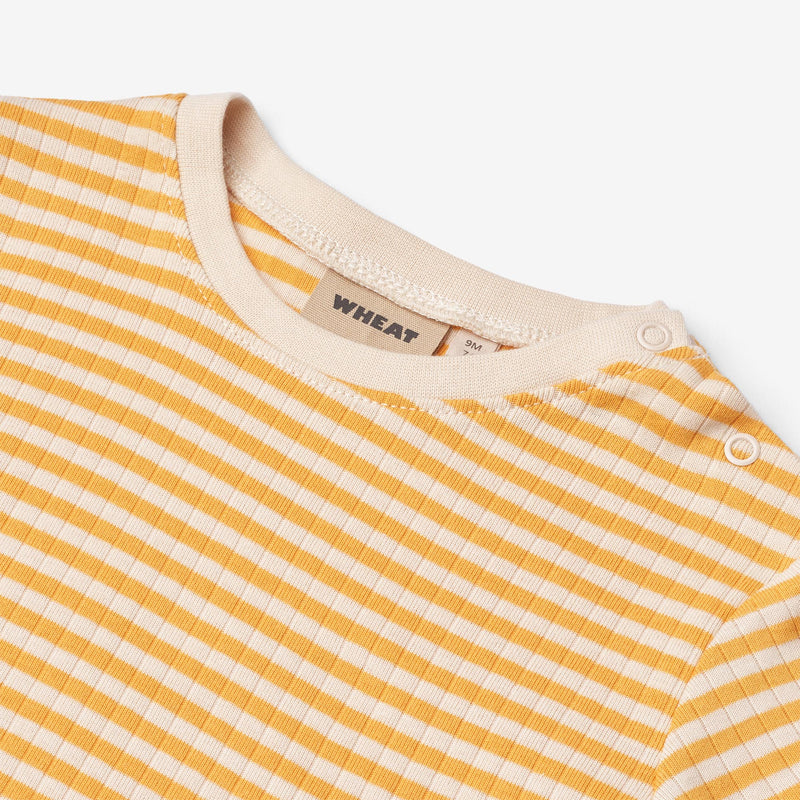 Wheat Main Kortærmet T-Shirt Fabian T-Shirt 9449 yellow rib stripe