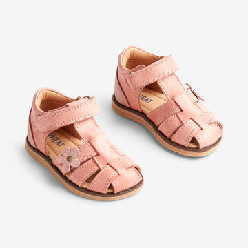 Wheat Footwear Sky Blomster Sandal | Baby Prewalker Sandals 2026 rose