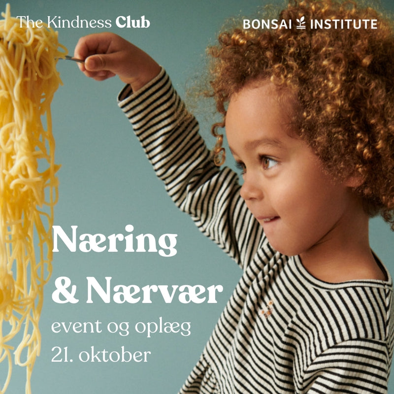 Wheat Main The Kindness Club & Bonsai Institute Home The Kindness Club