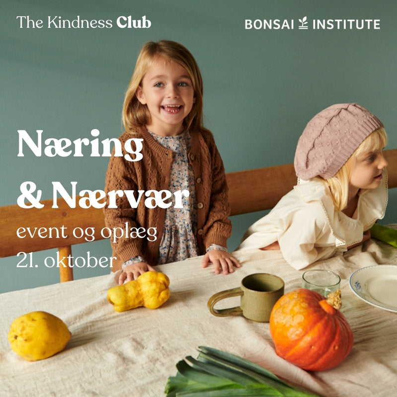 Wheat Main The Kindness Club & Bonsai Institute Home The Kindness Club