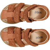 Wheat Footwear Macey Lukket Sandal Prewalkers 5304 amber brown