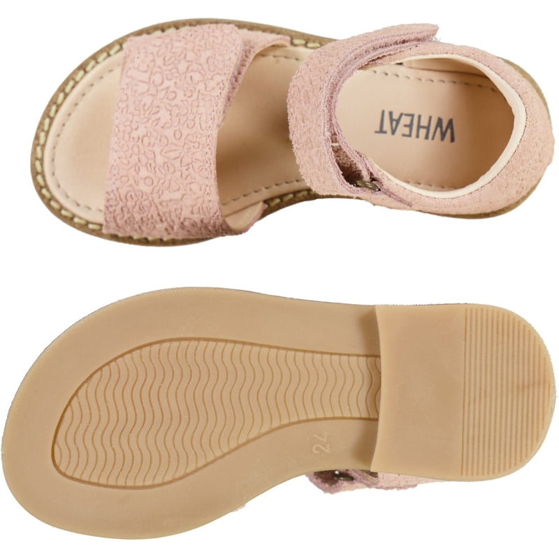 Wheat Footwear Tasha Sandal Sandals 2025 rose sand